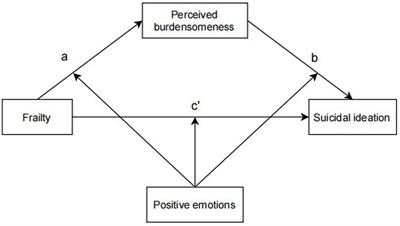 Frailty and suicidal ideation among older adults living alone in the community: a moderated mediation model of perceived burdensomeness and positive emotions